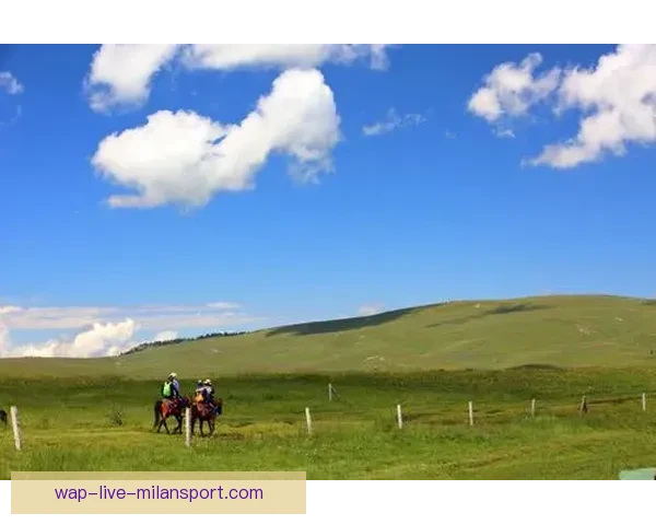 足球直播360免费畅享高清赛事精彩不间断陪你看遍五大联赛实时更新